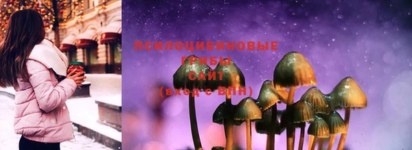 PSILOCYBIN Алексеевка