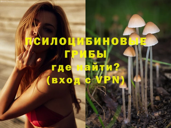 МДПВ Алзамай