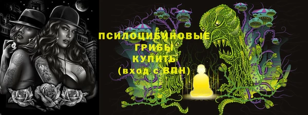 PSILOCYBIN Россошь