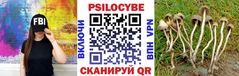 Псилоцибиновые грибы мухоморы купить цена Заинск