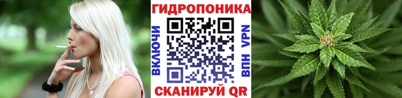 Канабис план  как найти наркотики  OMG рабочий сайт  Заинск 
